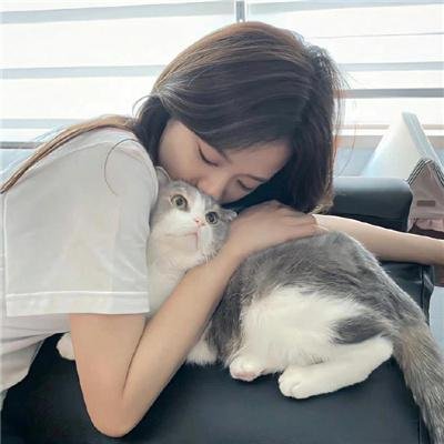 机械画皮